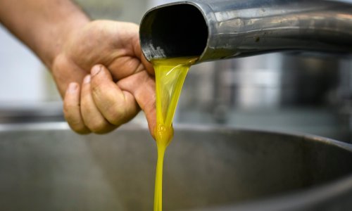 Zbog suše cijene maslinovog ulja lete u nebo, poskupilo za čak 50 posto u godinu dana