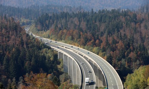 Vjetar stvara probleme u prometu, na A7 uočena divlja svinja na cesti
