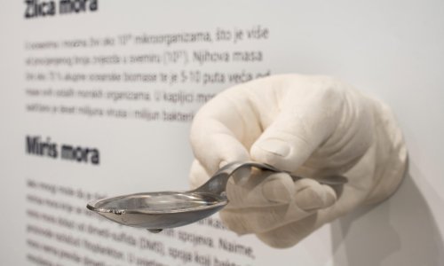 Atraktivan stalni postav izložbe 'Dodir rijeke i mora' u sklopu Posjetiteljskog centra 'Kanal SV. Ante'