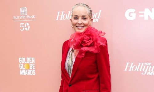 Ni Sharon Stone nije odoljela ovom hit dodatku na modnoj sceni