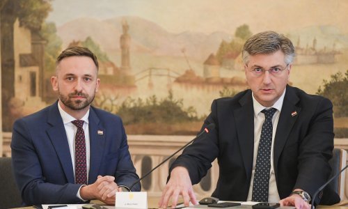 Snažna poruka Vlade povodom dolaska djece iz Zambije: Ovo im treba osigurati