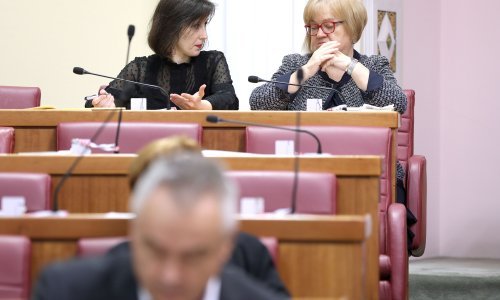 Oporba o međudržavnom posvojenju: Država svu odgovornost prebacuje na posvojitelje