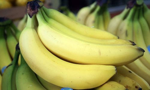 Pošiljka banana s preko 100 kg kokaina greškom isporučena poduzeću u Širokom Brijegu
