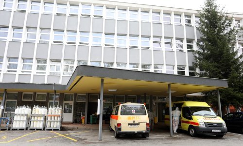 Pas ugrizao i teško ozlijedio dijete u Karlovcu