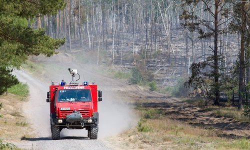 Veliki šumski požari južno od Berlina, opasnost prijeti i od zaostalog steljiva