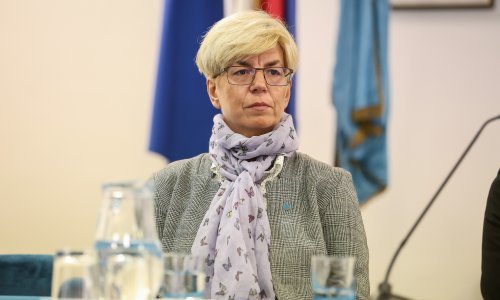 Ustavni stručnjaci nakon sastanka s Plenkovićem: Izborne jedinice neprihvatljive