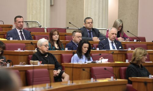 Prošao HDZ-ov amandman koji uređuje međudržavna posvajanja djece