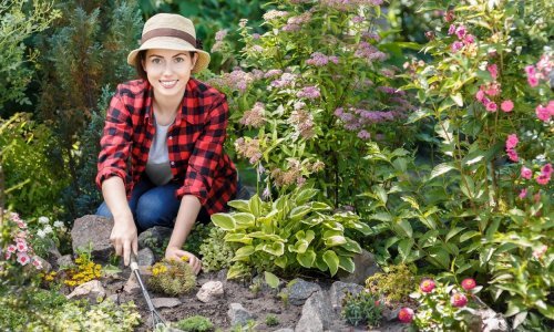 Jeftina i efikasna metoda: Stručnjaci otkrili kako se riješiti korova između cvijeća