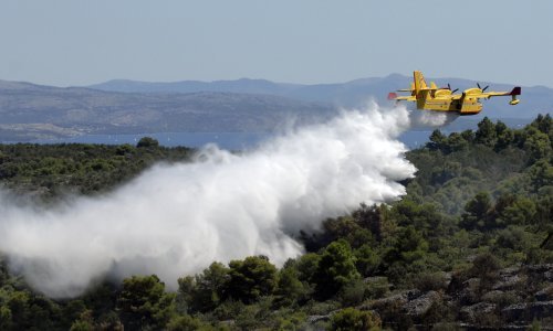 Požar kod Grebaštice zahvatio oko 80 ha