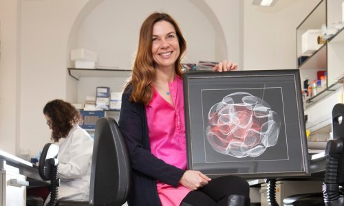 Revolucionarni pomak: Stvoreni su sintetski ljudski embriji, kreće izrada smjernica