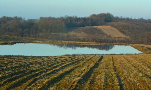 Hektar oranice u godinu dana prosječno poskupio za 293 kune