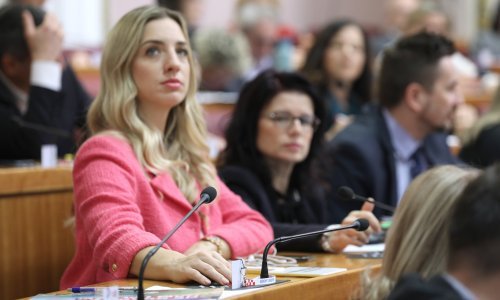 'Svi kukaju da radnika nema, a priznavanje inozemnih diploma nam je u totalnom kolapsu'