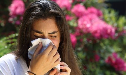 Sve veći broj alergičara, a simptomi peludne groznice sve jači zbog klimatskih promjena