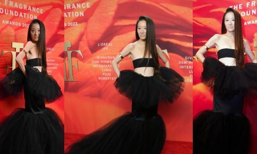 Prkosi godinama: Za koji dan slavi 74. rođendan, a na crvenom tepihu pozira u topiću