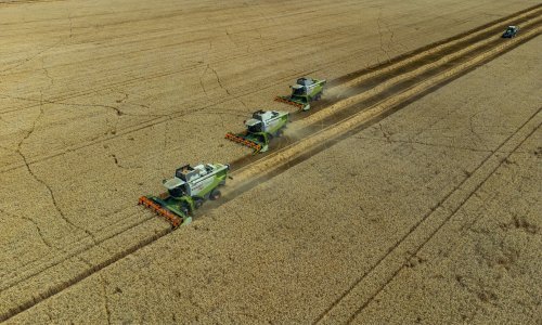 Danska pogođena sušom: Trebam vodu!