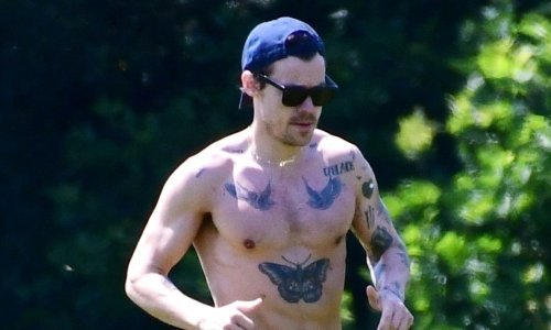 Harry Styles pokazao trbušnjake, ali i impresivnu 'kolekciju' od gotovo 60 tetovaža