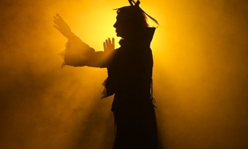 Josipa Lisac priredila publici pravo art iznenađenje