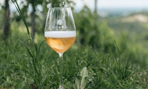 Ovo ljetno osvježenje stiže iz čarobnih gorica krašićkog kraja