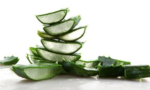 Možda ipak nije tako djelotvorna: Je li sve ono što znamo o aloji veri zapravo neistina?