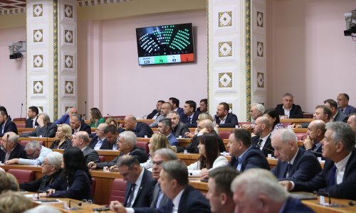 Raste broj korisnika osobnih asistenata; poveća se satnica i cijena