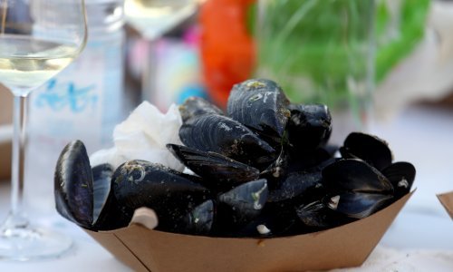 Hrvatska dobila još jedan proizvod zaštićenog naziva, Novigradsku dagnju