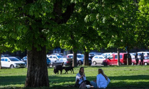 Život u blizini zelenih površina čini nas 2,5 godine mlađima