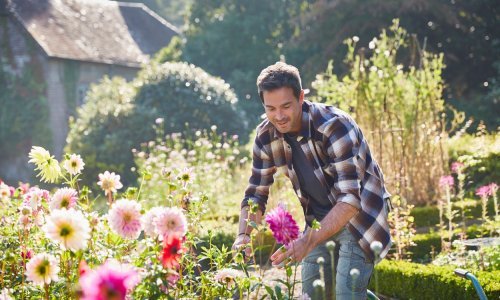Izbjegnite najčešću vrtlarsku grešku i oživite svoj vrt jednostavnim postupkom