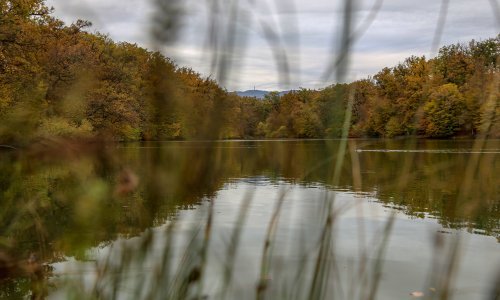 Nakon Ilice i Španskog projekt 'Q’ART U TVOM KVARTU' stiže i u najljepši zagrebački kvart – Maksimir