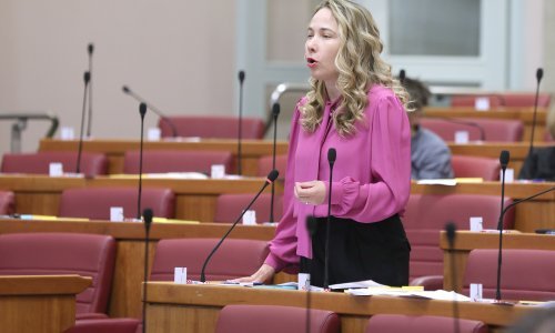 Klub Mosta zatražio od Ustavnog suda da se očituje o zakonu o izbornim jedinicama