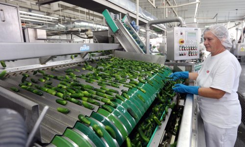 Podravka: Dobit od 195,4 milijuna kuna 1,3 posto manja nego lani