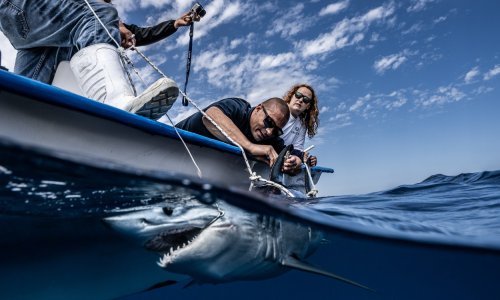 Rekordne temperature oceana podižu izglede za uragane na Atlantiku