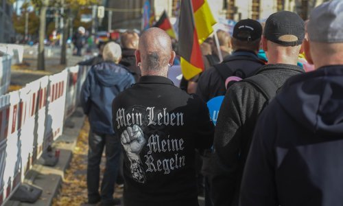 Njemačka ekstremna desnica AfD dosegla povijesni rekord popularnosti