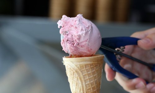 U Ogulinu se otvara najveća tvornica prirodnog, zanatskog sladoleda na svijetu