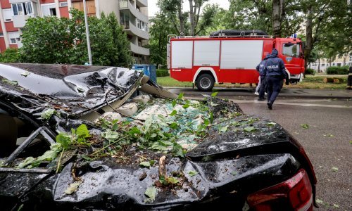 Nevrijeme poharalo Zagreb i okolicu: Vjetar lomio stabla u centru, Maksimiru, Sopotu...