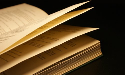 Raspisan natječaj za književnu nagradu Slavko Kolar