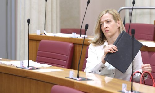 Ahmetović: 'Danas nam našu zemlju pokušavaju oteti veliki Hrvati iz HDZ-a'