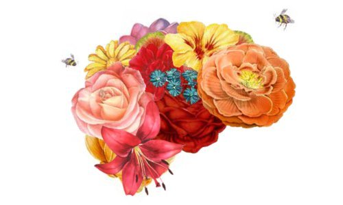 Objavljena je knjiga Nezasitna molekula - priča o dopaminu koju mnogi neće moći ispustiti iz ruku