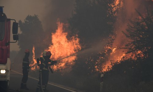 Na požaru kod Šibenika ozlijeđena tri vatrogasca, situacija znatno bolja nego popodne