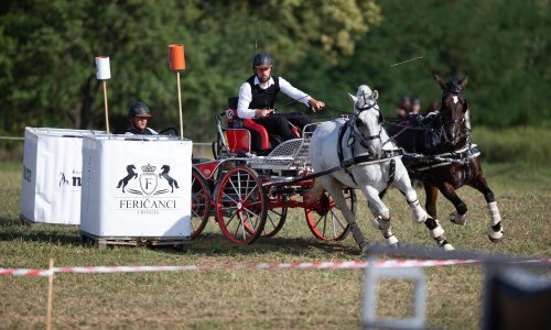 Zaljubljenici u konje i konjički sport doći će na svoje; prestižni turnir dolazi u Feričance