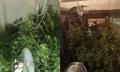 Napunio kuću u Velikoj Gorici do vrha stabljikama marihuane, policija pronašla i oružje