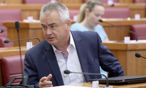 Ovo su zastupnici s najviše i najmanje javljanja u proljetnom zasjedanju Sabora