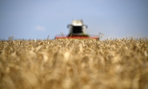 Ruska odluka potaknula skok cijena pšenice u SAD-u
