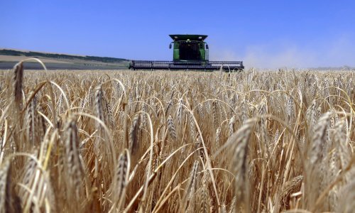 Traže se rješenja nakon propalog sporazuma o žitu