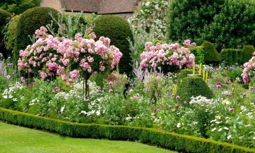 Ne zaboravite na ključan korak u njezi ruža kako bi raskošno cvale do kraja ljeta