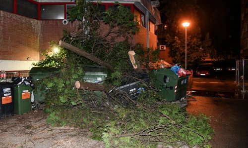 Snažno nevrijeme pogodilo sjever Hrvatske, vjetar čupao stabla i krovove