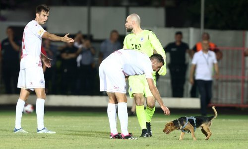 Pogledajte kako je pas utrčao u teren i spasio nogometaše Zrinjskog u kritičnoj situaciji