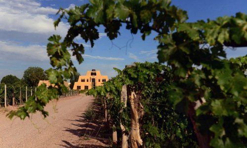 Proglašene najbolje vinarije na svijetu, za titulu potrebno više od kvalitetnog vina