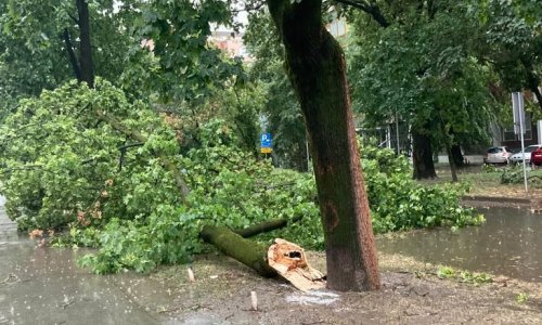 Grad Zagreb izdao upozorenje: Izbjegavajte parkove