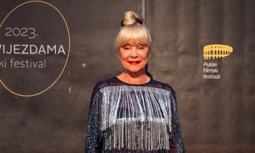 Anja Šovagović Despot ima super frizuru za blagdanske partyje