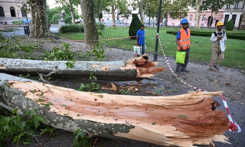 [FOTO] Dan nakon olujnog nevremena, Zagreb se sanira od nastale štete